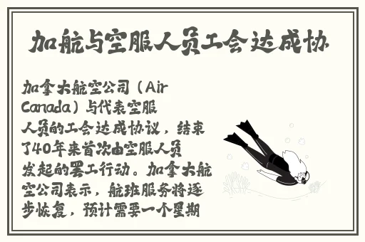 菠萝导航